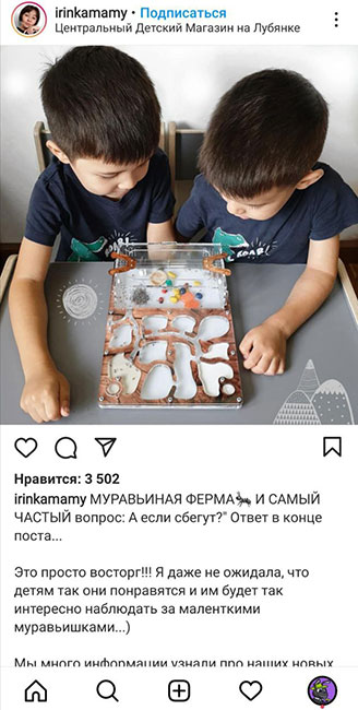 Отзыв о муравьиной ферме